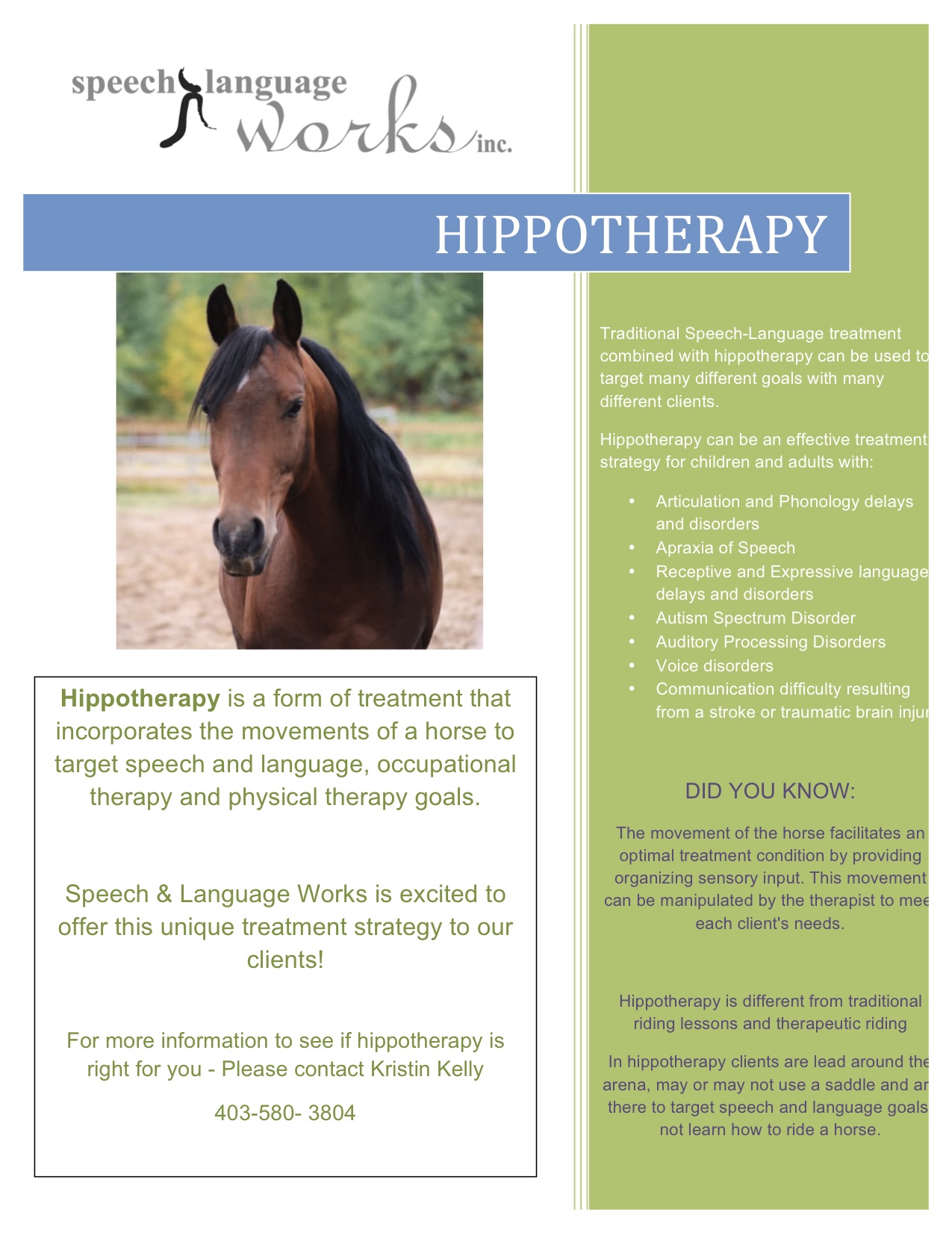 Hippotherapy now offered! Speech Language Works